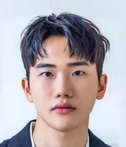 Ahn Ji-ho_AghayeMovie